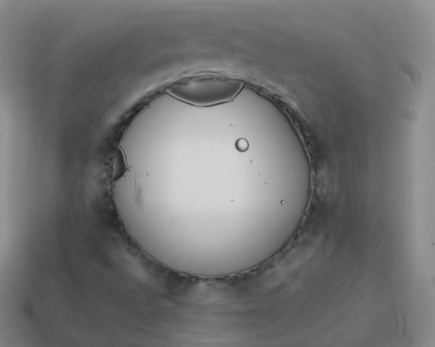 X0000113911496200910081839