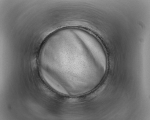 X0000113911497200910081839