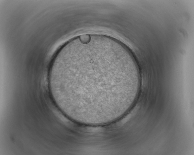 X0000113911498200910081839