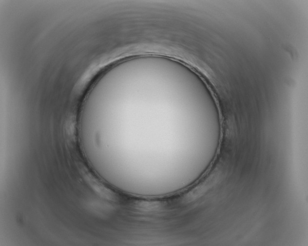 X0000113911499200910081839