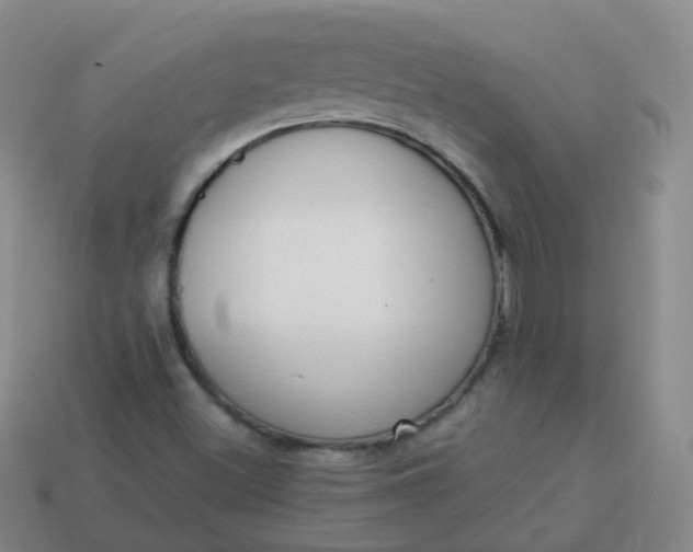 X0000113911500200910081839