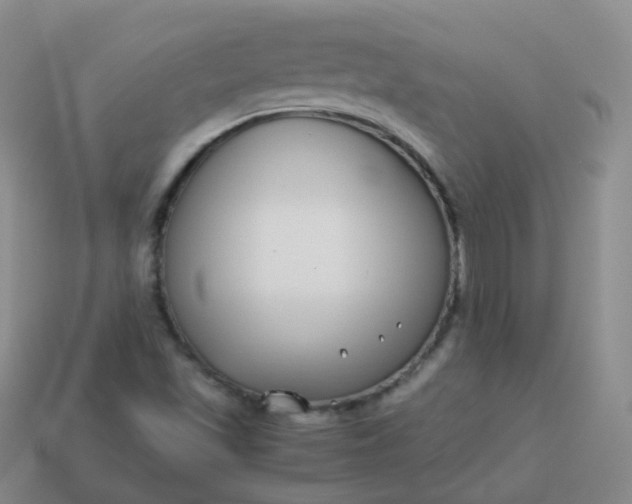 X0000113911501200910081839