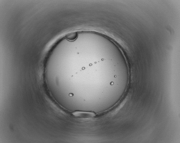 X0000113911502200910081839