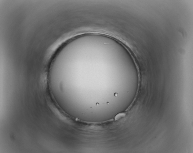 X0000113911503200910081839