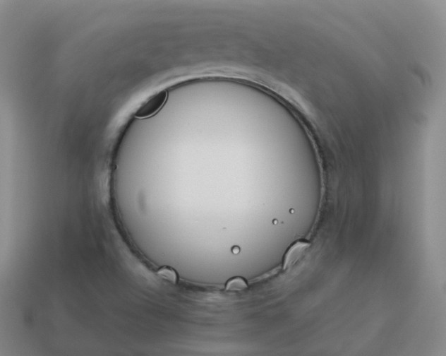 X0000113911504200910081839