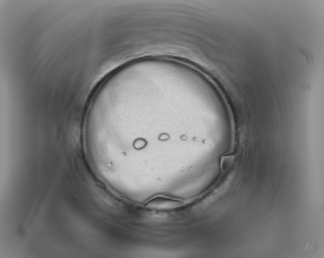 X0000113911505200910081839