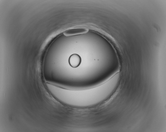 X0000113911506200910081839