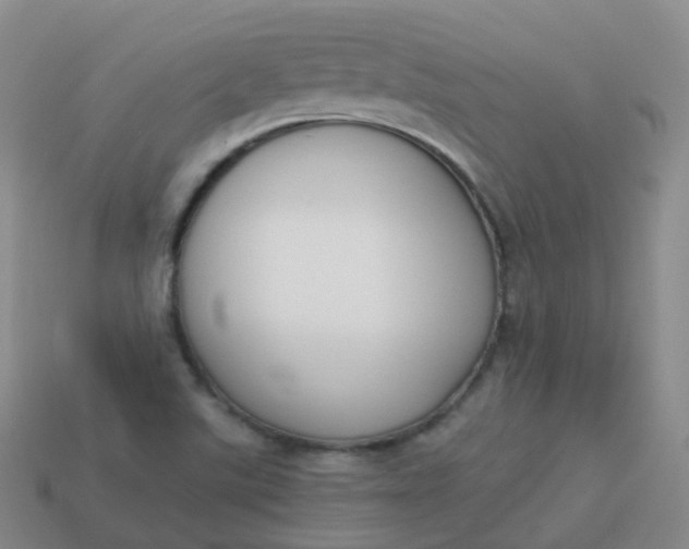 X0000113911507200910081839