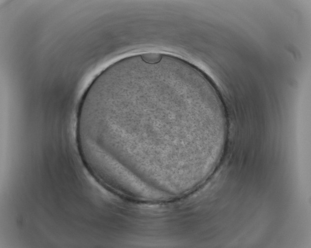 X0000113911508200910081839