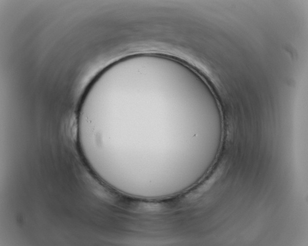 X0000113911509200910081839