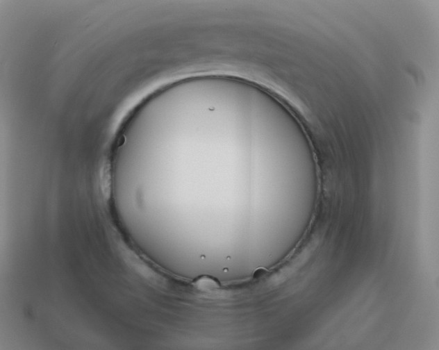 X0000113911510200910081839