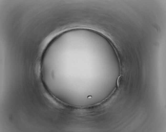 X0000113911511200910081839