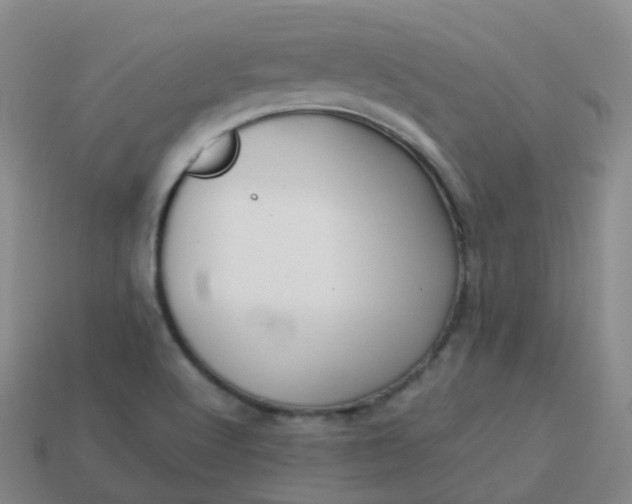 X0000113911512200910081839