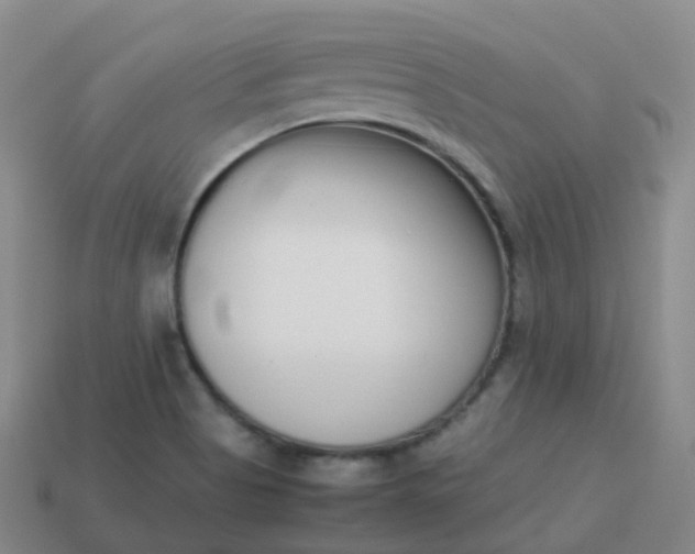 X0000113911513200910081839