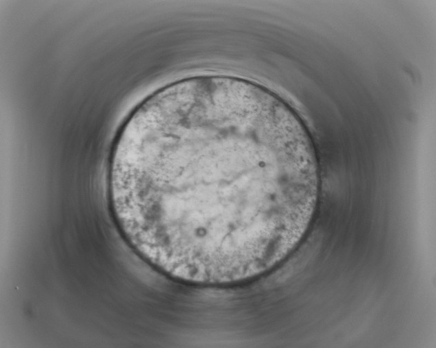 X0000113911514200910081839