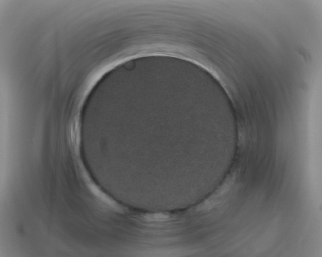 X0000113911515200910081839