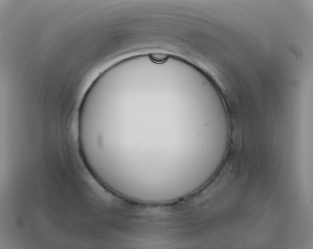 X0000113911516200910081839