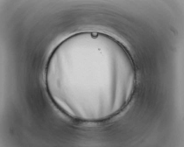 X0000113911517200910081839