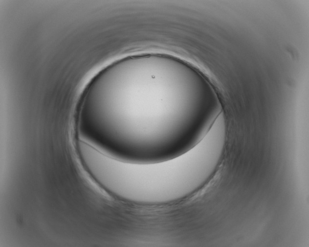 X0000113911518200910081839