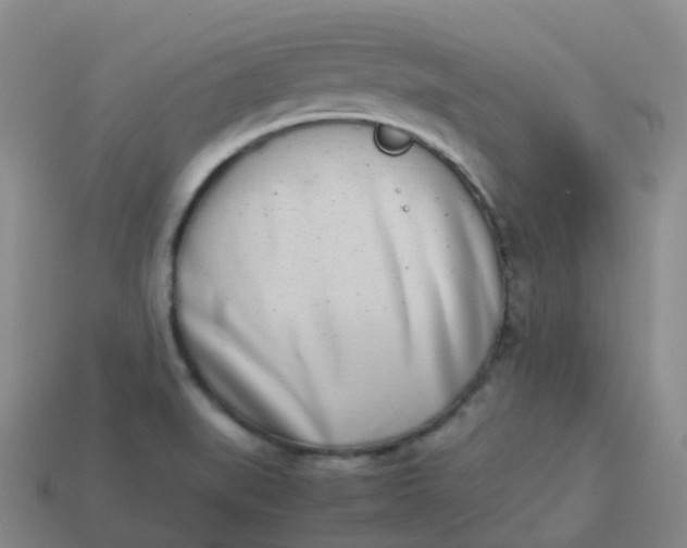 X0000113911519200910081839