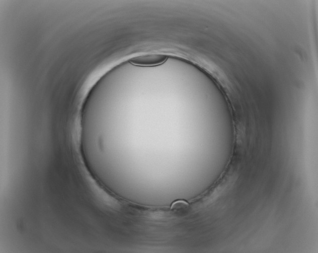 X0000113911520200910081839