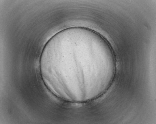 X0000113911521200910081839