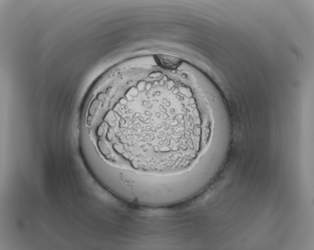 X0000113911522200910081839