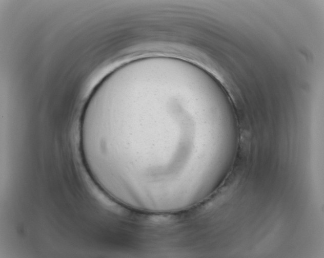 X0000113911523200910081839