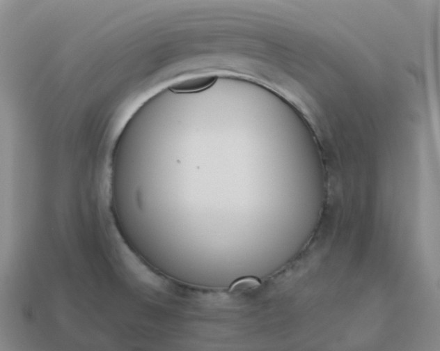 X0000113911524200910081839