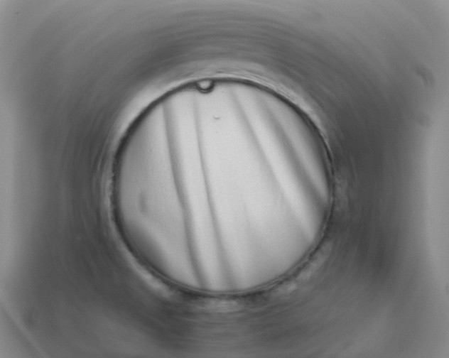 X0000113911525200910081839