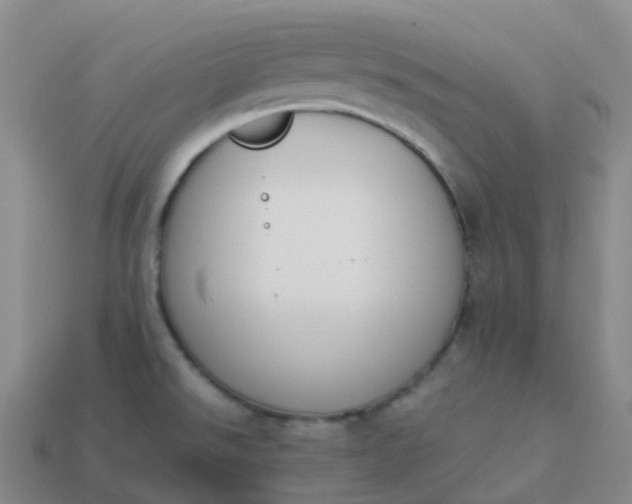 X0000113911526200910081839