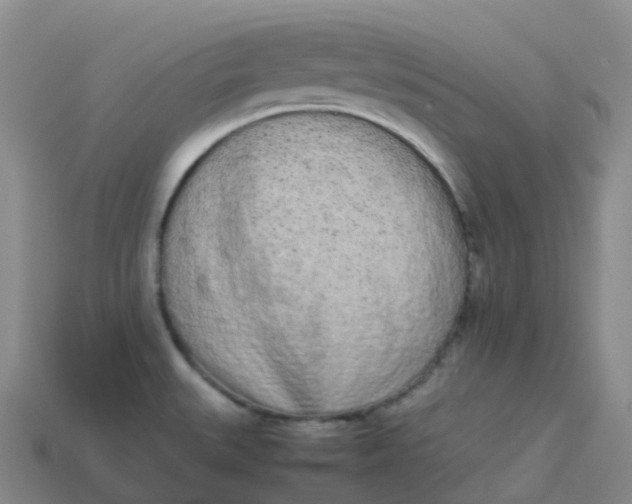 X0000113911527200910081839