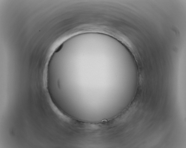 X0000113911528200910081839