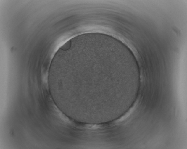 X0000113911529200910081839