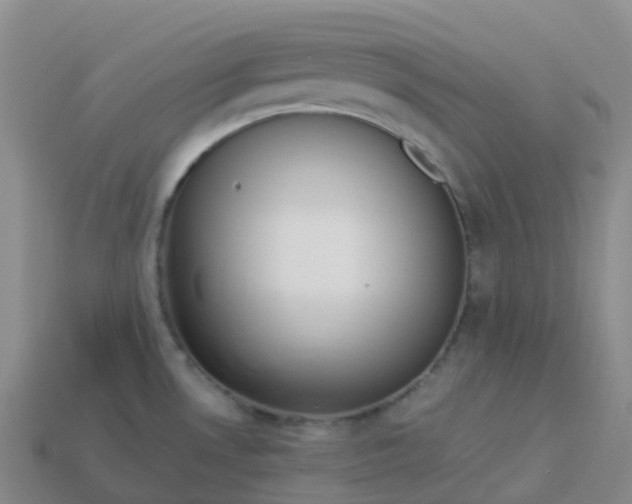 X0000113911530200910081839