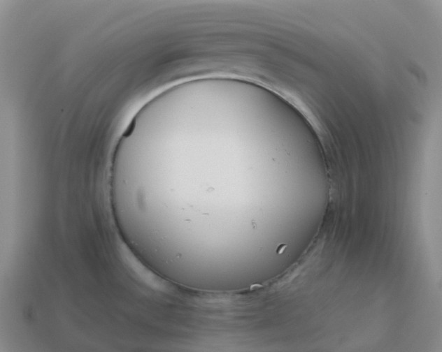 X0000113911532200910081839