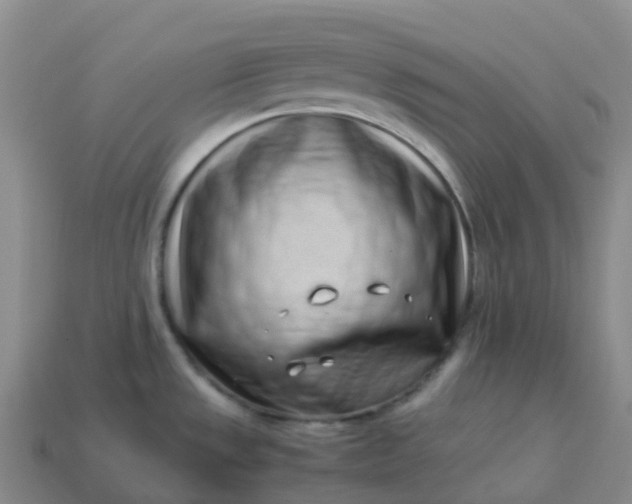 X0000113911533200910081839