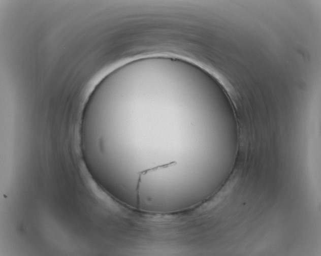 X0000113911534200910081839