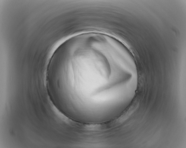 X0000113911535200910081839