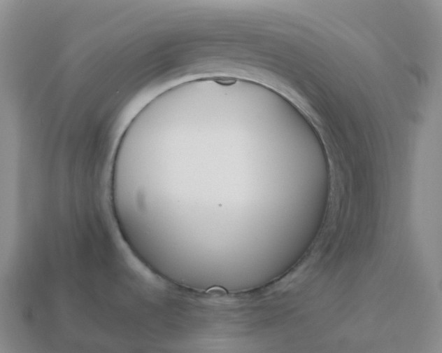 X0000113911536200910081839