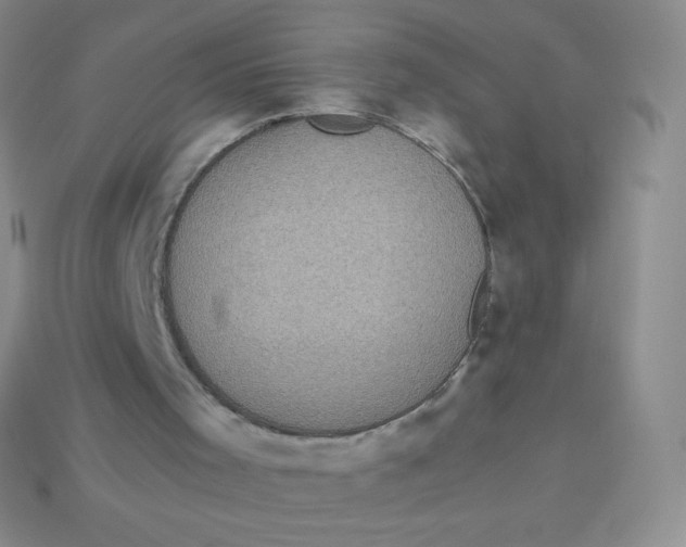 X0000113910001200910151428