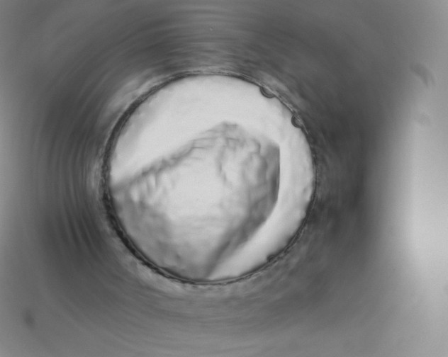 X0000113910002200910151428