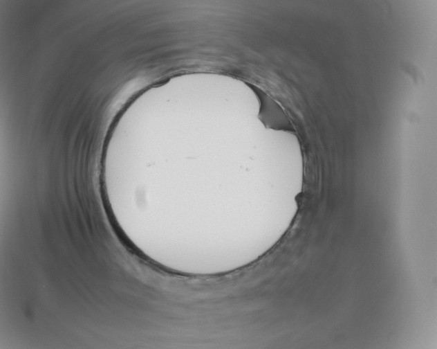 X0000113910003200910151428