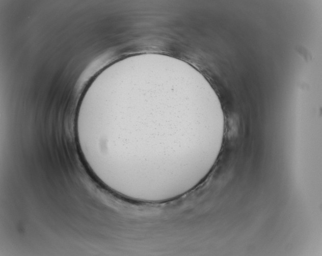 X0000113910004200910151428