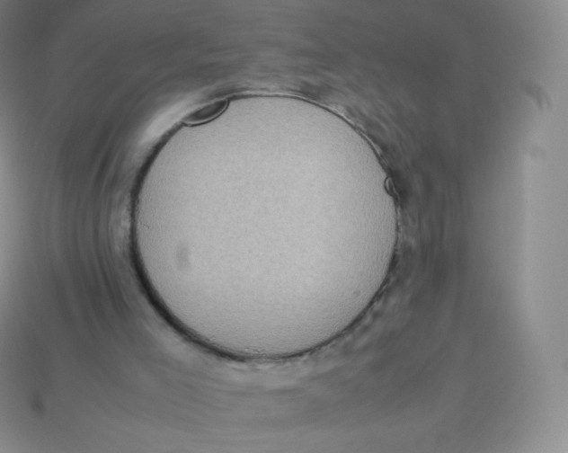 X0000113910005200910151428