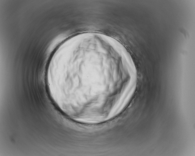 X0000113910006200910151428