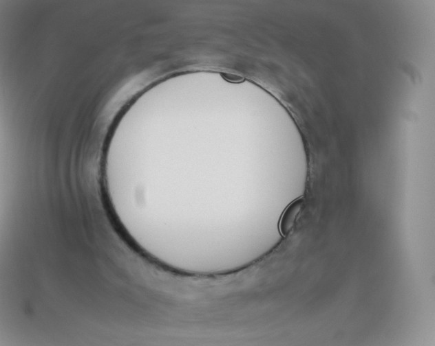 X0000113910007200910151428