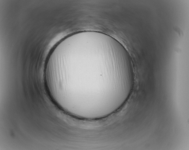 X0000113910008200910151428