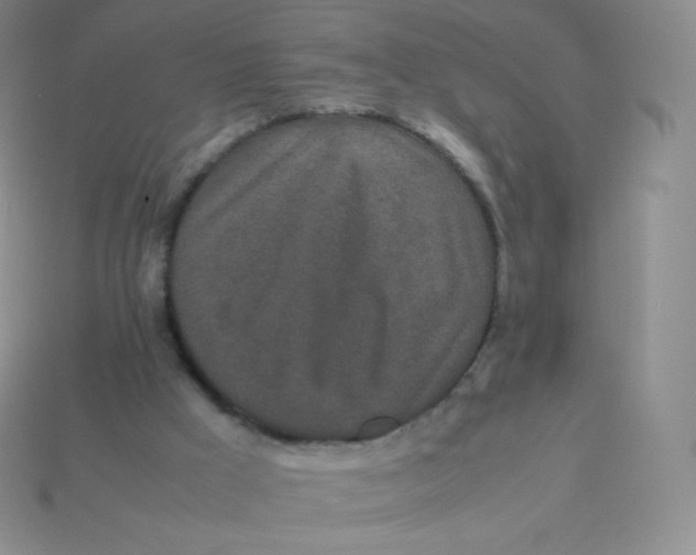 X0000113910009200910151428