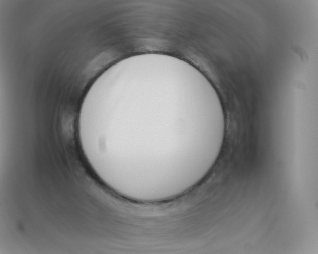 X0000113910010200910151428